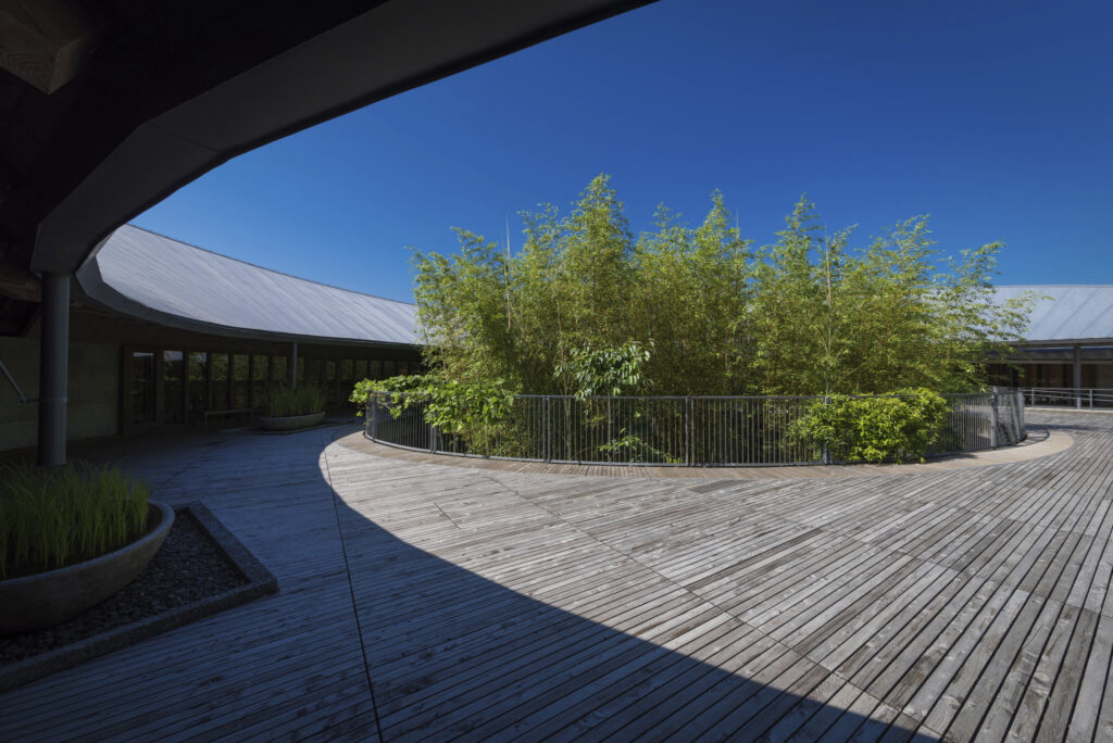 高知県立牧野植物園（※写真：高知県立牧野植物園提供）