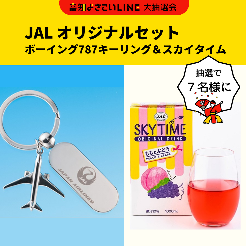 JAL オリジナル ボーイング787キーリング＆スカイタイム★７名様